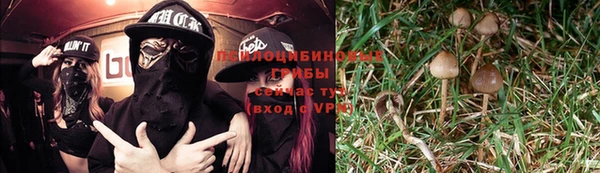 ECSTASY Абаза